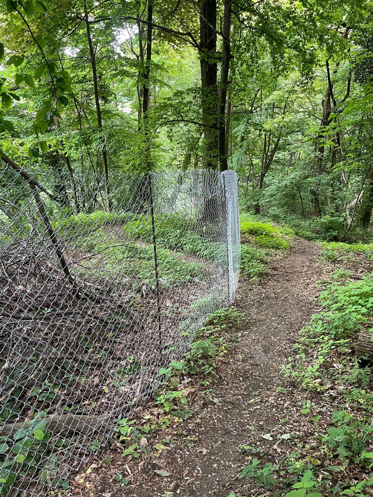 Sentiero monte