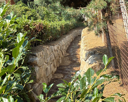 Terminato cantiere rio Suriano - versante monte