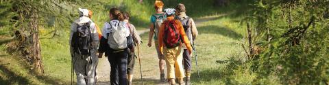 ITINERARIO ROGGIA: COMPLETAMENTO INTERVENTI SENTIERO GNOMI