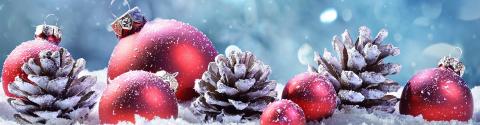 NATALE 2024: LETTERA DI AUGURI DALL'AMMINISTRAZIONE COMUNALE